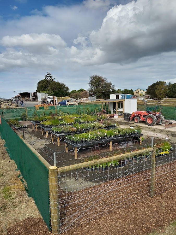 Organised nursery beds of native seedlings, Blackwood Forest Plant Farm