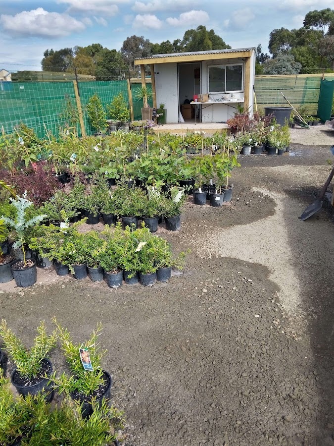 Diverse potted native plants ready for sale, Blackwood Forest Plant Farm
